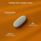 Glucosamine with MSM for Men
